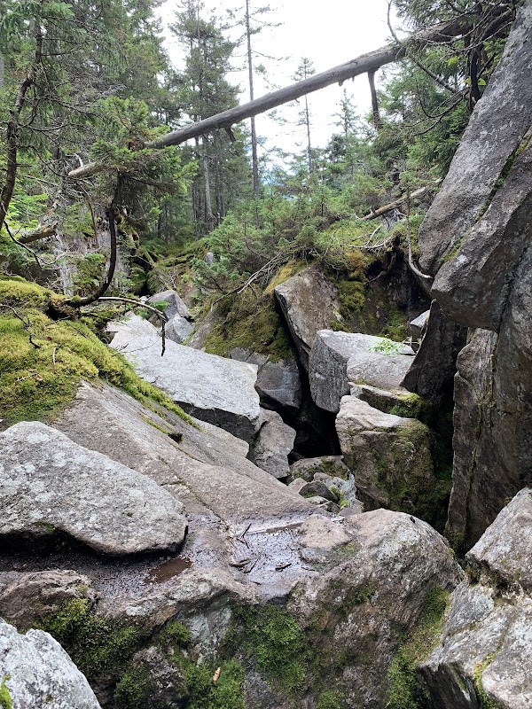 Discover Nature's Beauty: Mahoosuc Public Reserved Land surrounding landscape