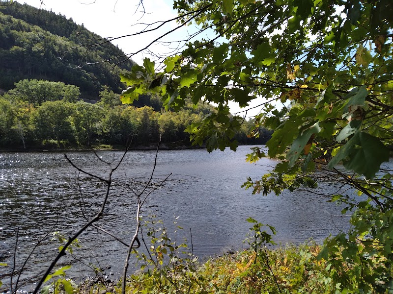 Scenic Beauty of Esker Loop Trail - Esker Loop Trail