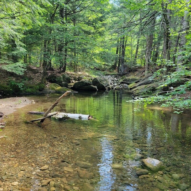 Scenic Beauty of Esker Loop Trail - Esker Loop Trail