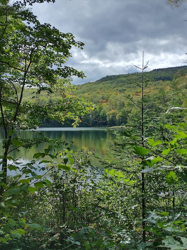 Serenity Awaits at Albany Brook Trailhead, Bethel outdoor detail