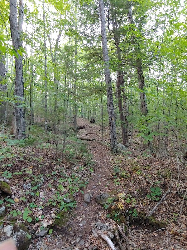 Serenity Awaits at Albany Brook Trailhead, Bethel surrounding landscape
