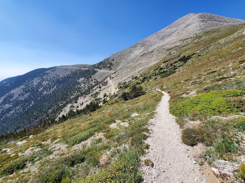 Majestic Peaks of Mt. Princeton Trailhead surrounding landscape