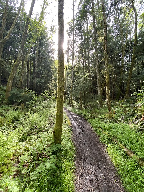 Discover North Chuckanut Mountain Trailhead surrounding landscape