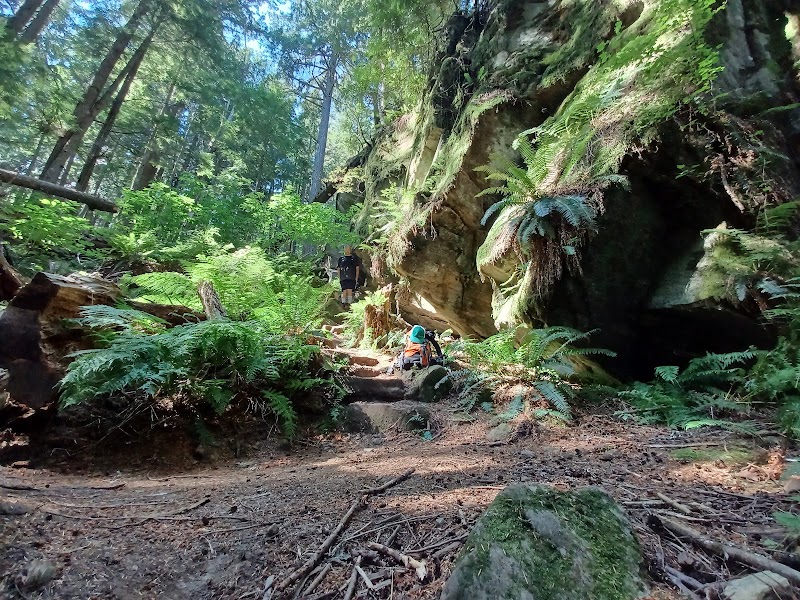 Scenic Retreat at Chuckanut Mountain outdoor detail