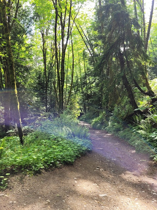 Scenic Retreat at Chuckanut Mountain surrounding landscape