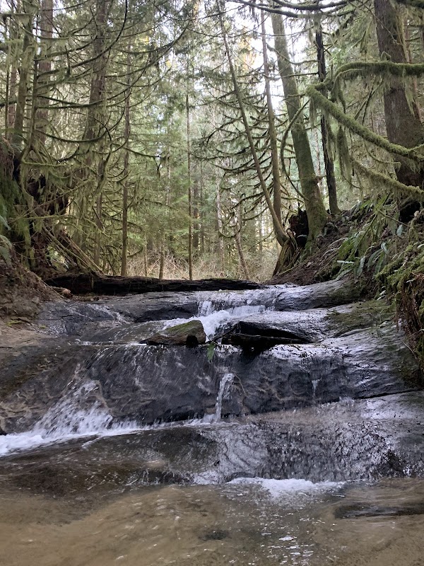 Cascading Wonders at Lookout Mountain Preserve - Lookout Mountain Preserve