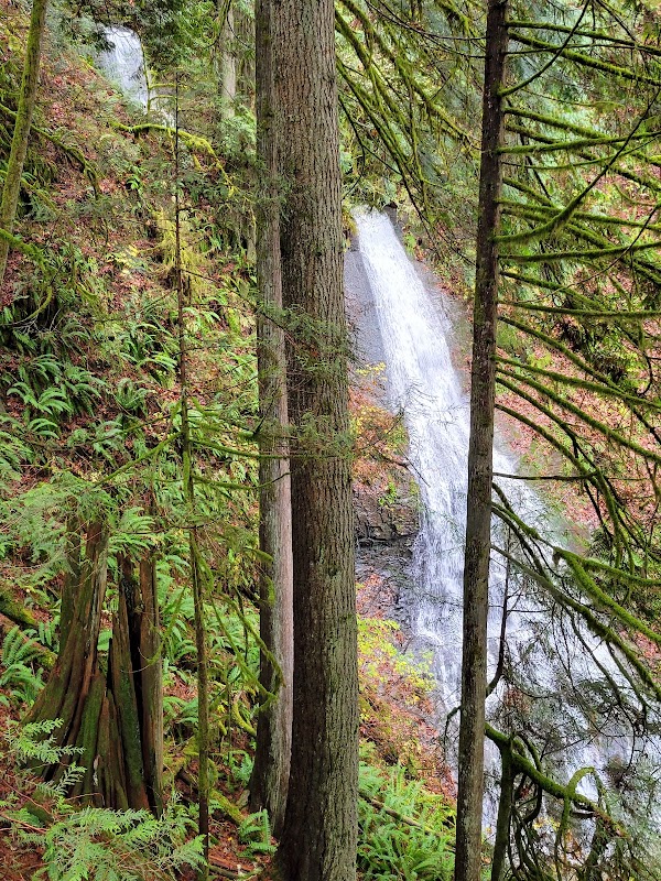 Lookout Mountain Forest Preserve adventures