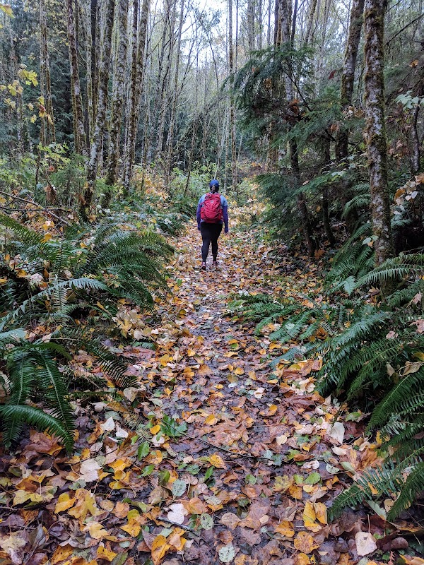Cascading Wonders at Lookout Mountain Preserve - Lookout Mountain Preserve