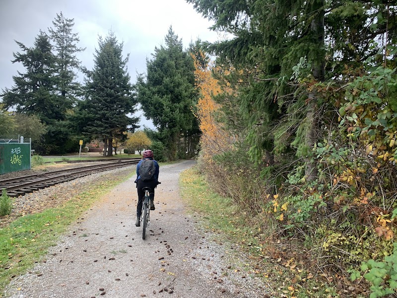 Biking Along Bay To Baker Trail - Bay To Baker Trail