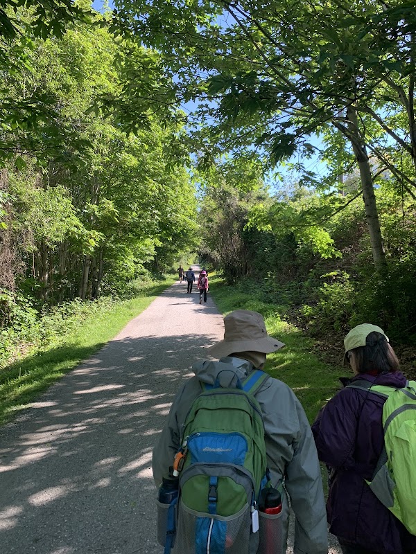 Biking Along Bay To Baker Trail - Bay To Baker Trail