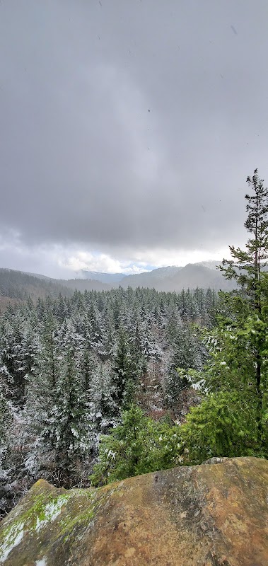 Raptor Ridge: Nature's Overlook in Bellingham surrounding landscape