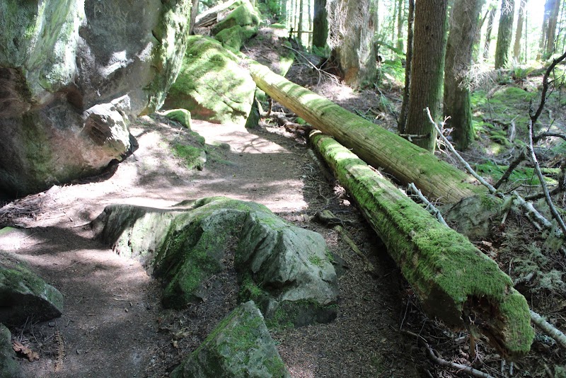 Raptor Ridge: Nature's Overlook in Bellingham outdoor detail