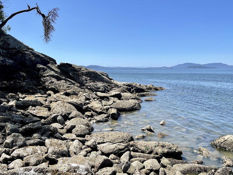 Scenic Views from Viewpoint Trail in Bellingham outdoor detail