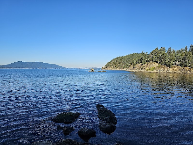 Scenic Views from Viewpoint Trail in Bellingham surrounding landscape