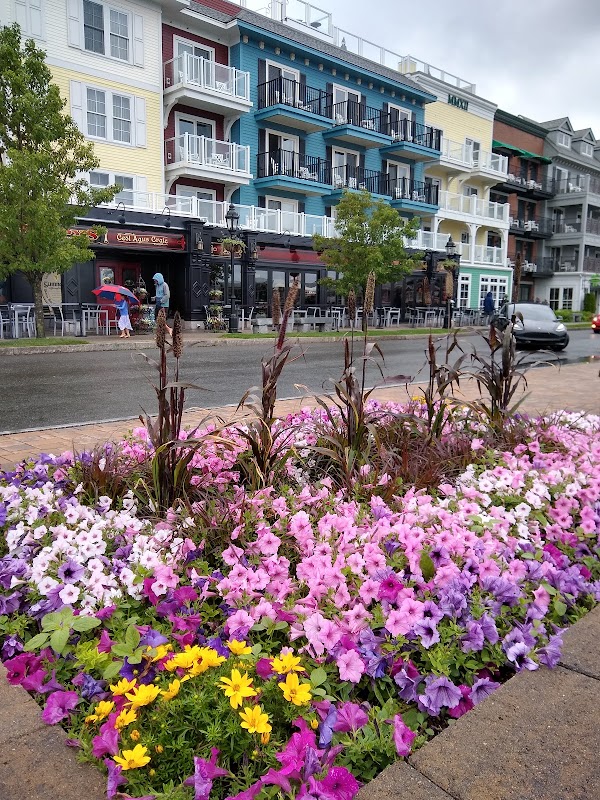Discover the Coastal Charm of Bar Harbor - Bar Harbor