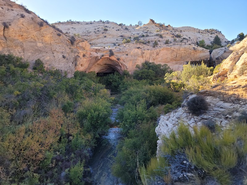 Scenic Landscapes at Upper Calf Creek Trailhead - Upper Calf Creek Trailhead