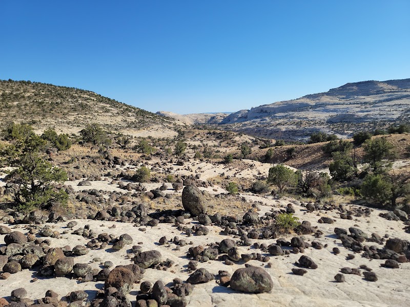 Scenic Landscapes at Upper Calf Creek Trailhead - Upper Calf Creek Trailhead