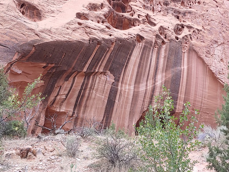 Discover the Echoes of Singing Canyon outdoor detail