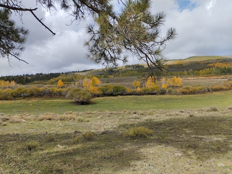 Scenic Wonders of Chriss Lake Trailhead outdoor detail