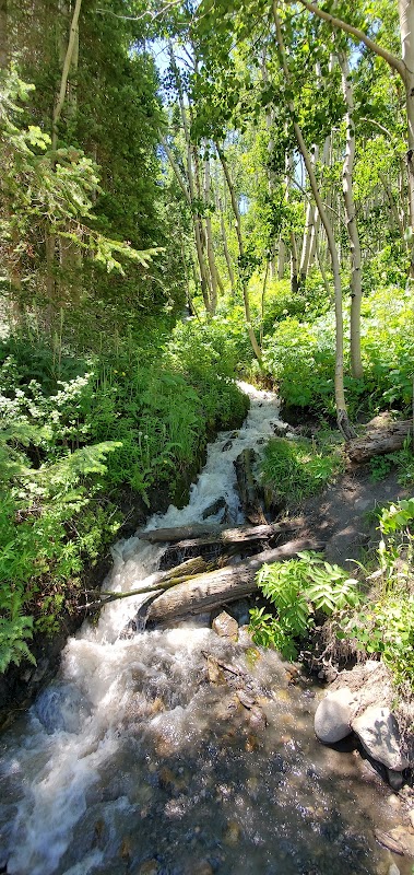 Discover the Trails at Brush Creek Trailhead surrounding landscape