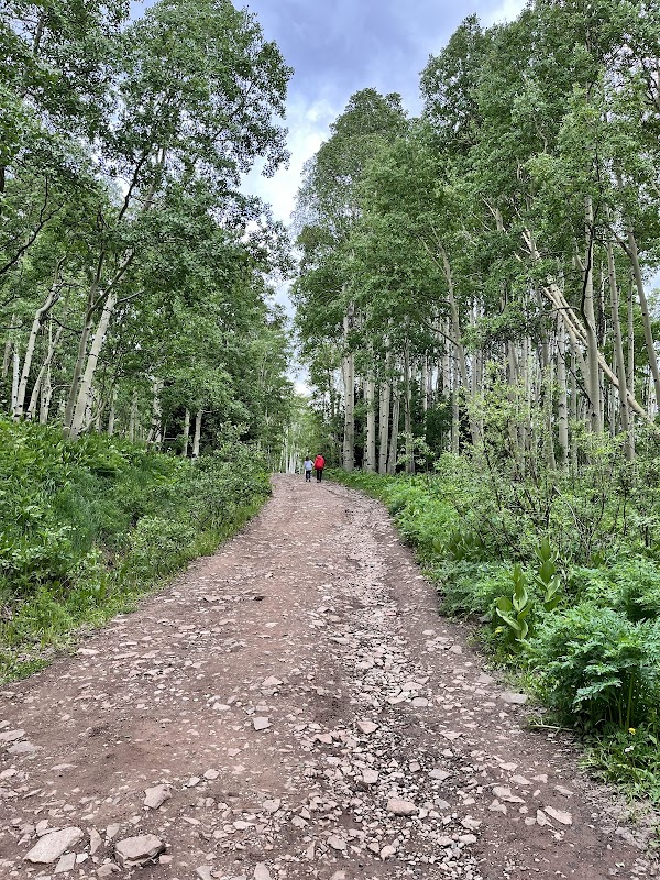 Waterfall Wonder: Judd Falls near Crested Butte outdoor detail