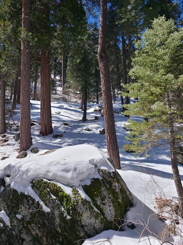 Discover the Beauty of Castle Rock Trail surrounding landscape