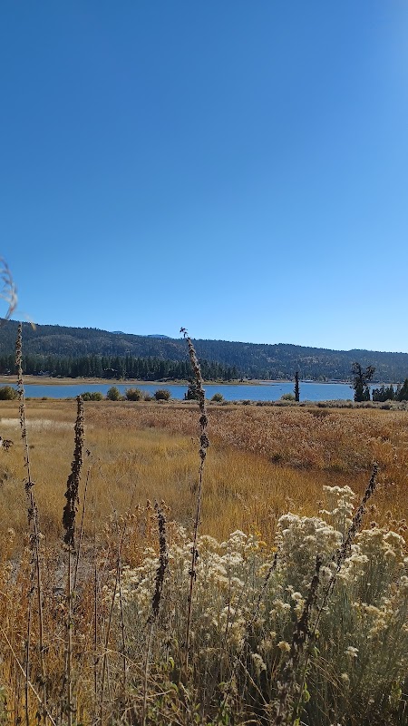 Scenic Biking at Alpine Pedal Path Trail 1E50 - Alpine Pedal Path Trail 1E50