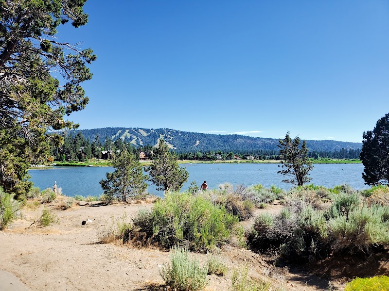 Scenic Biking at Alpine Pedal Path Trail 1E50 surrounding landscape