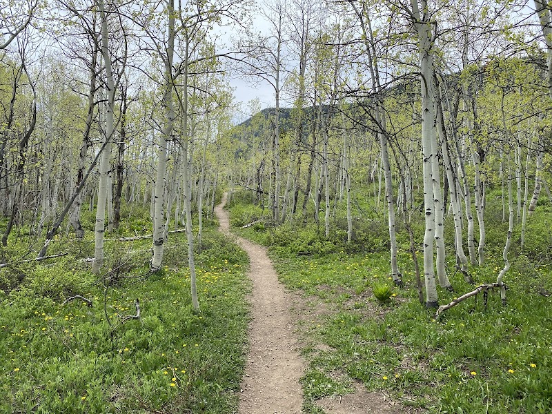Mountain Adventures at Woods Walk Trail Head surrounding landscape