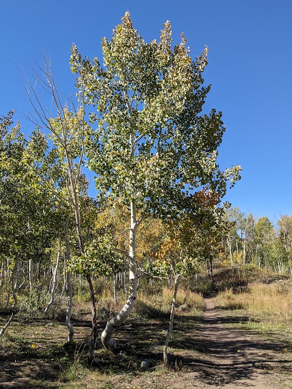 Mountain Adventures at Woods Walk Trail Head - Woods Walk Trail Head