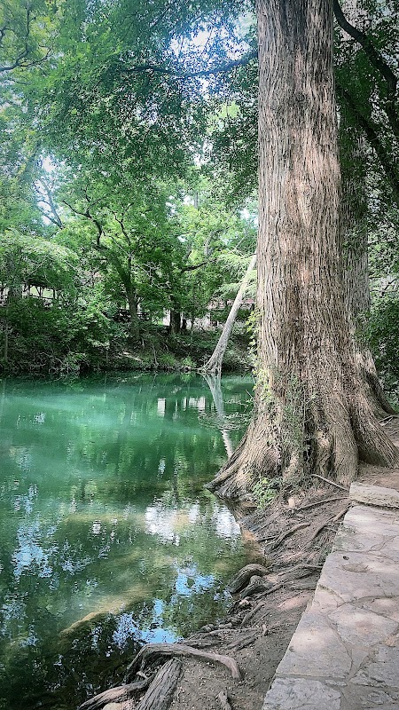 Serenity by the Cypress: Wimberley’s Natural Paradise - Wimberley
