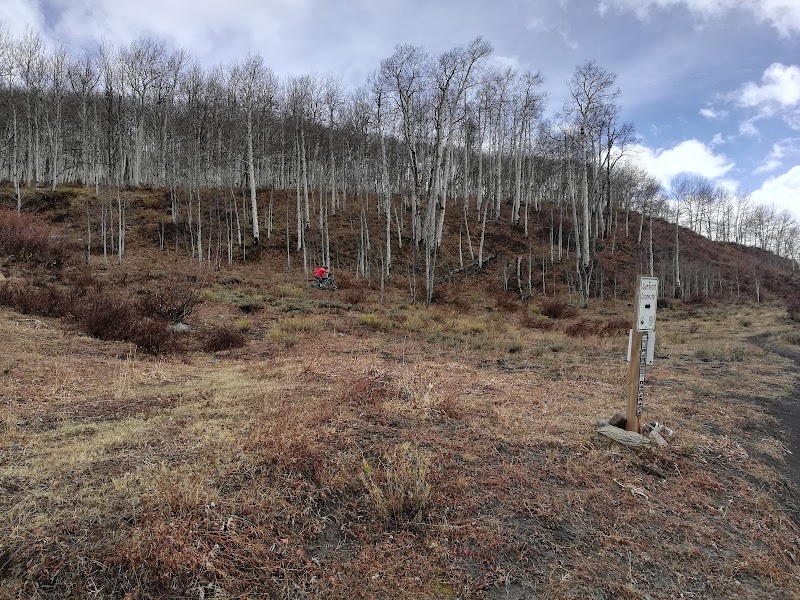 Lupine Trail 2 Adventure in Crested Butte surrounding landscape