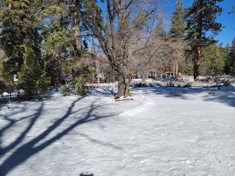 Bristlecone Trail: A Walk Through Time surrounding landscape