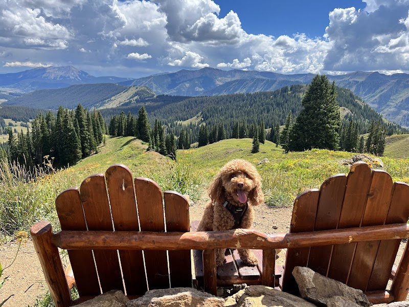 Mountain Bliss on the 403 Trailhead surrounding landscape