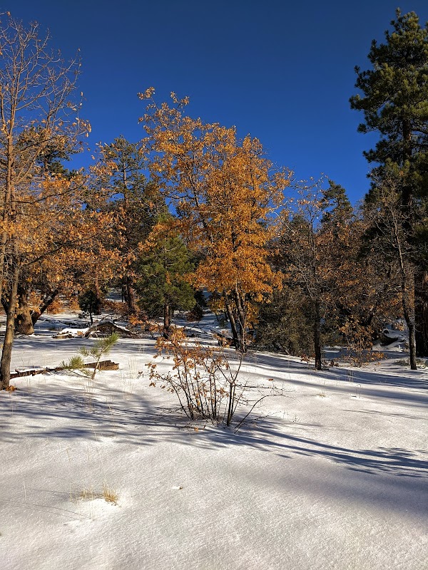 Pine Adventure: Discover Pineknot Trail surrounding landscape