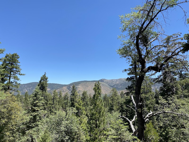 Scenic Trails: Jenks Lake Trail outdoor detail