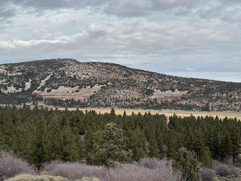 Discover the Serenity of Maple Hill Trails surrounding landscape