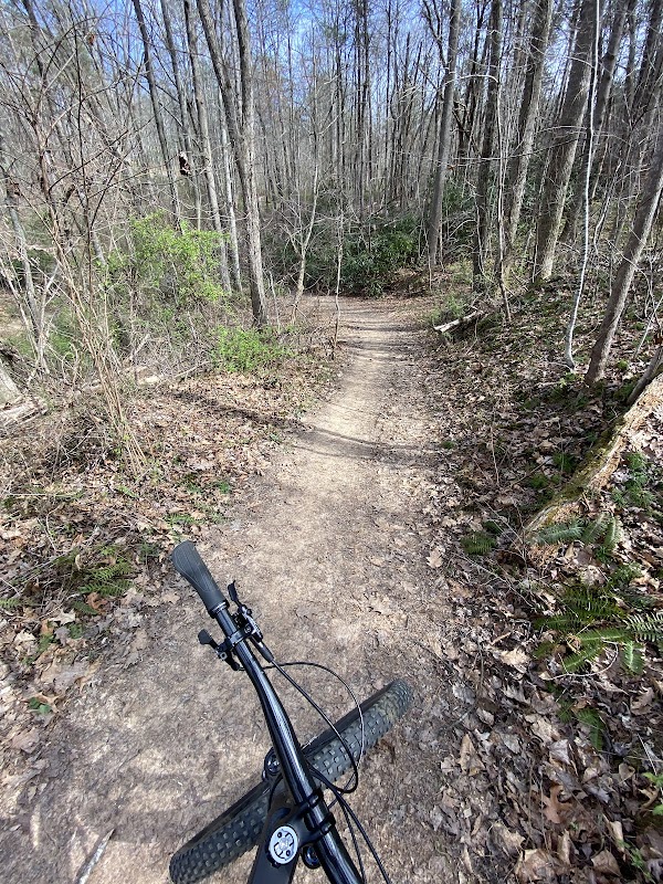 Biking Thrills in Asheville's Forested Wonderland outdoor detail