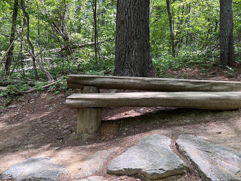 Biking Thrills in Asheville's Forested Wonderland surrounding landscape