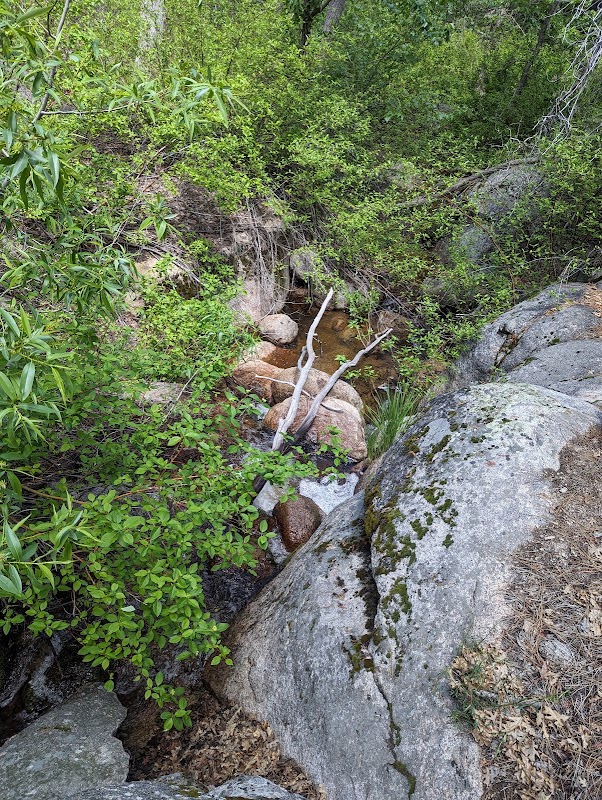 Nature's Escape at Big Bear Lake outdoor detail