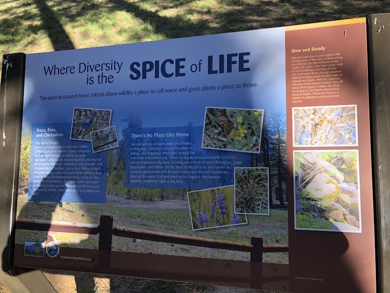 Nature's Escape at Big Bear Lake surrounding landscape