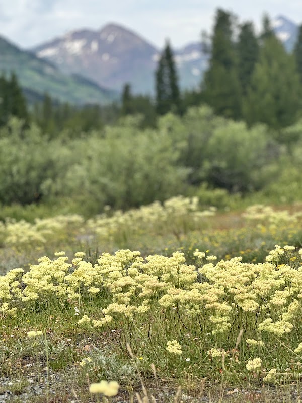Scenic Paths of Crested Butte: Lower Loop Trailhead - Lower Loop Trailhead Parking