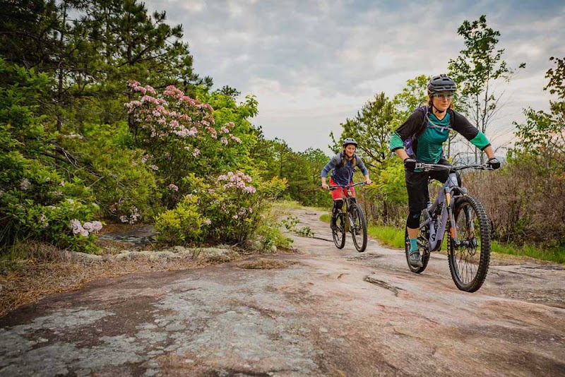 Biking Adventures in Pisgah Forest surrounding landscape
