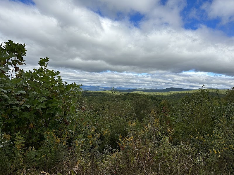 Biking Adventures in Pisgah Forest outdoor detail