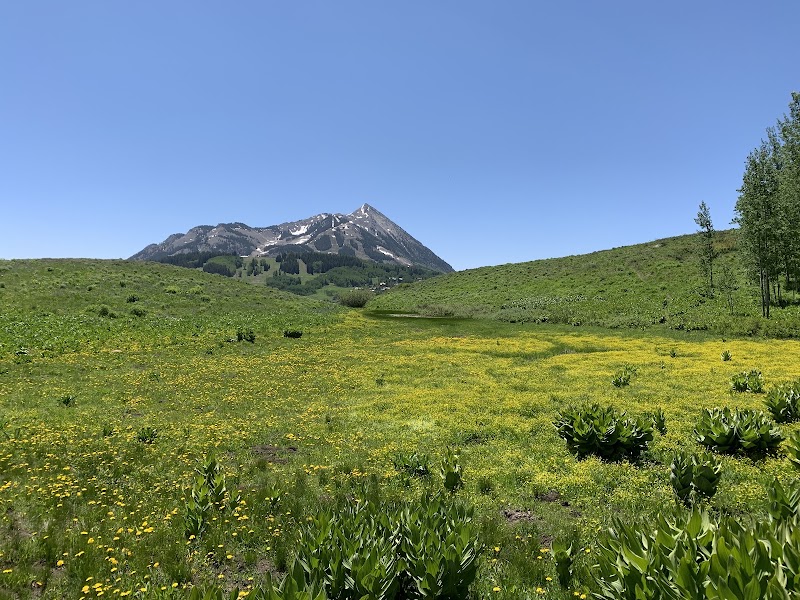Vibrant Vistas: Lupine Trail 1 in Crested Butte surrounding landscape