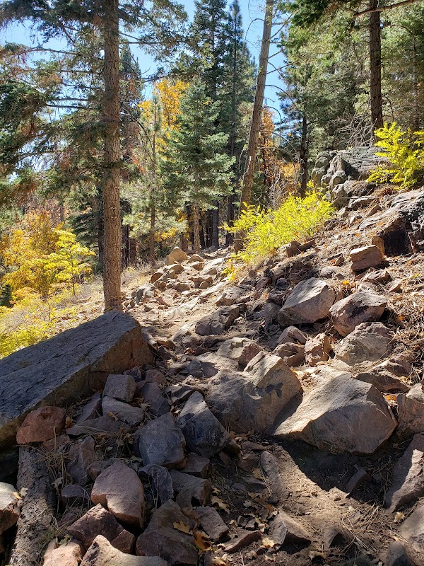 Thrilling Trails: Truck Trails Big Bear, CA - Truck Trails Big Bear Ca