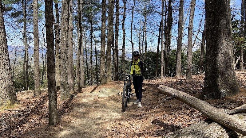 Adventure Awaits in Asheville's Trails - Asheville Trails & Taps LLC - Bike Tours