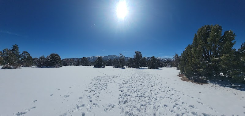 Discover the Unique Pebble Plains in Big Bear, California surrounding landscape