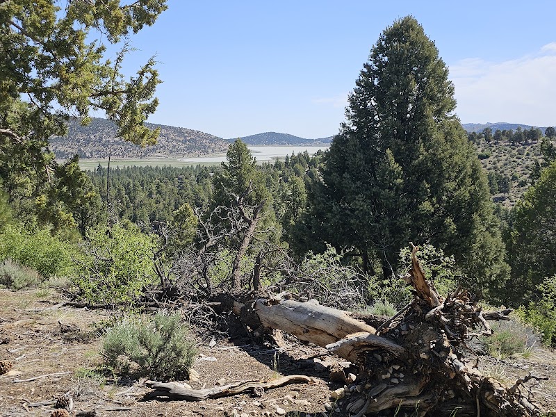 Discover the Unique Pebble Plains in Big Bear, California - Pebble Plains