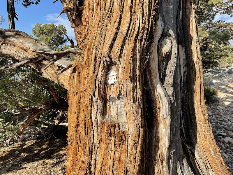 Discover the Enchantment of Sugarloaf National Recreation Trail - Sugarloaf National Recreation Trail 2E18